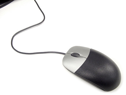 computer mouse on white