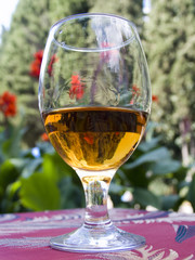 glass with a wine