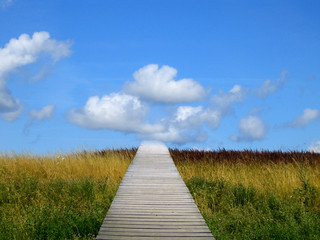 brücke ins nirgendwo