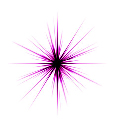 Obraz premium lilac star isolated on white