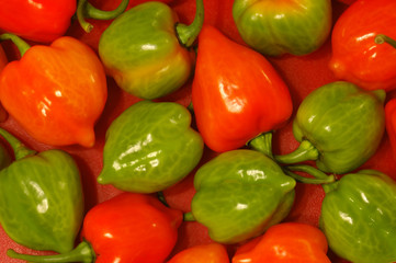 chili habaneros in red and green colors