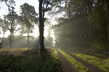Obraz premium lumière du matin