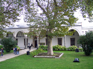 old plane tree and topkapi palace