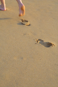 traces dans le sable