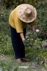 woman in the garden