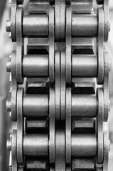 chain and cogwheel