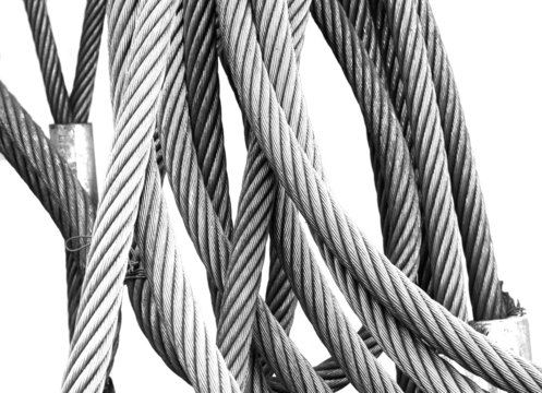 Imágenes de Hi-Key: descubre bancos de fotos, ilustraciones, vectores y