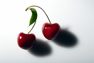 two cherries with shadows on a branch, berries