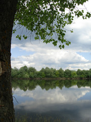 Fototapeta na wymiar tree with green leaves and river and clouds