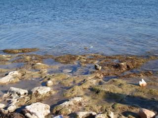 blue sea and rocks on a beach