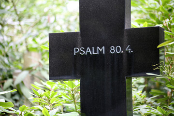 psalm 80