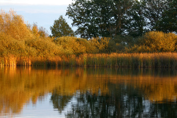 idylle am naturteich