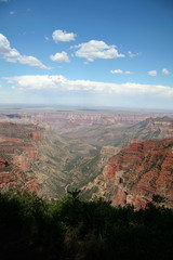 Fototapeta na wymiar grand canyon overlook with trees