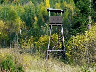 watch tower in forest
