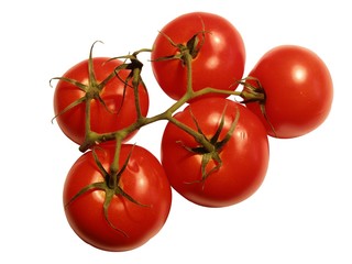 tomate