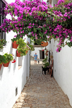 grandfather and grandson on vacation in spain