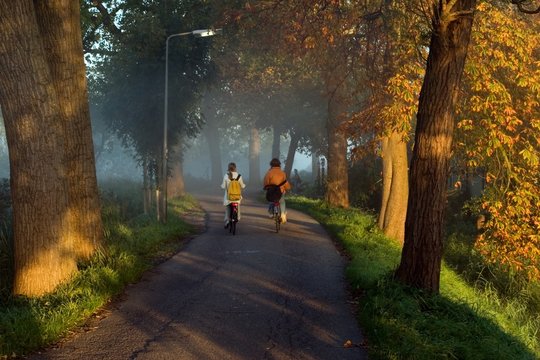 autumn n holland