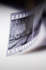 Fototapeta premium black and white film