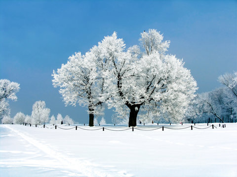 russian winter