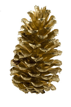 gilt pine cone alpha