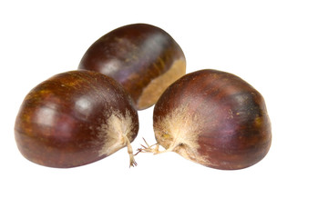three chestnuts