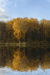forest reflected in lake