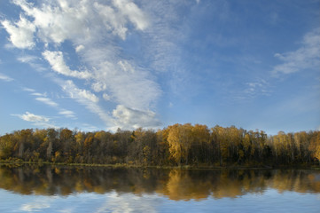 Fototapeta na wymiar forest reflected in lake