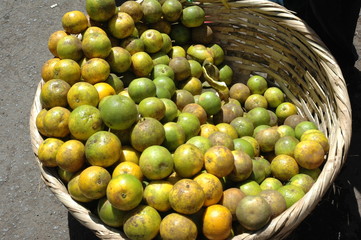 oranges