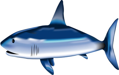 requin