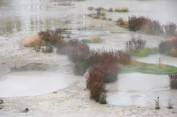 geothermische quellen im yellowstone national park
