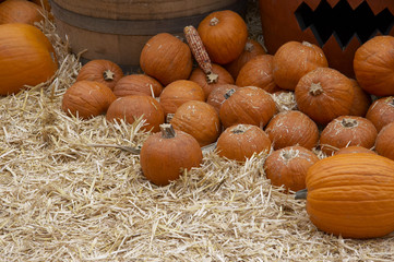 orangefarbene kürbisse