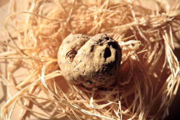 weisser trüffel