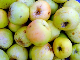 green apple