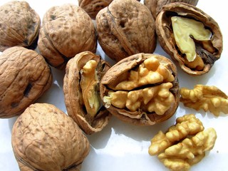 close up of nuts