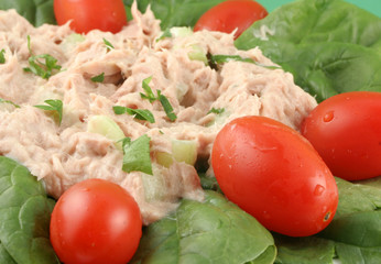 tuna salad