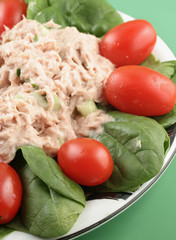 tuna salad