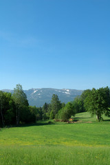 meadow and mountain