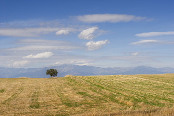 spain landscape