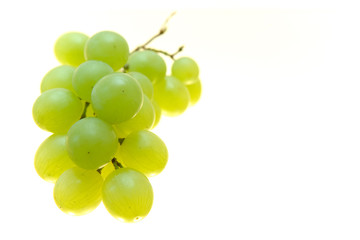 grape cluster