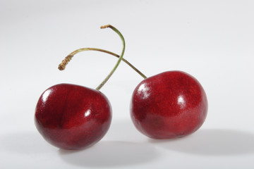 two cherries with shadows on a branch