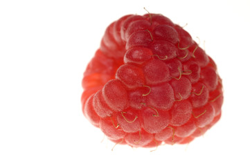 raspberry