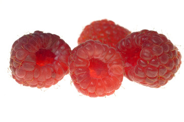 raspberry