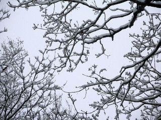 winter 1