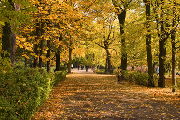 Obraz premium lazienki royal park