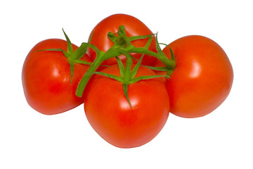 tomatoes
