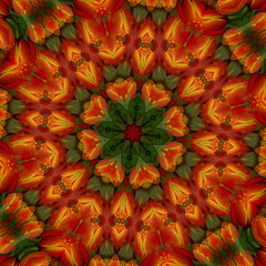 everything's coming up tulips