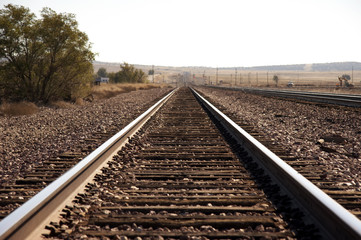 Fototapeta premium gleise