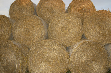hay rolls
