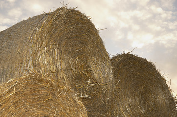 hay rolls