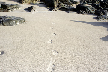 foot printing